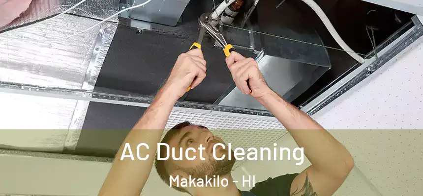  AC Duct Cleaning Makakilo - HI