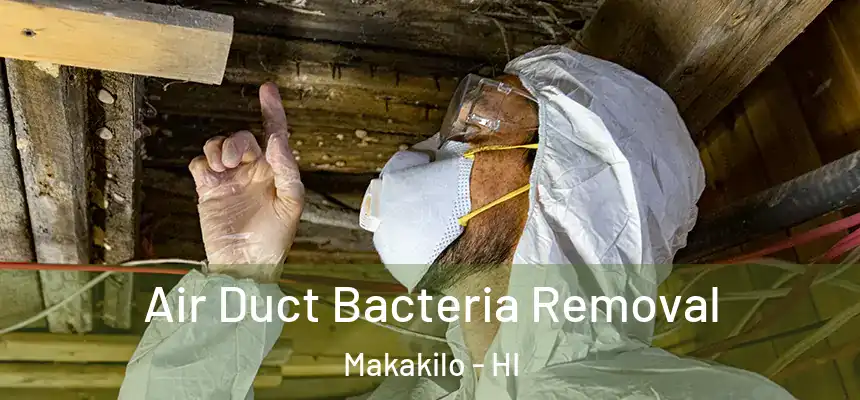  Air Duct Bacteria Removal Makakilo - HI