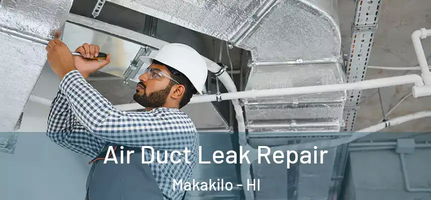  Air Duct Leak Repair Makakilo - HI