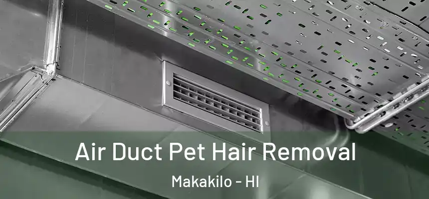 Air Duct Pet Hair Removal Makakilo - HI