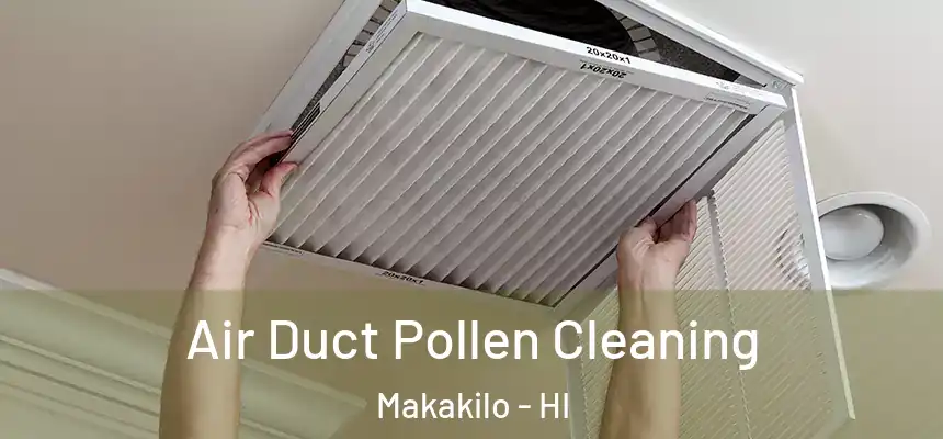  Air Duct Pollen Cleaning Makakilo - HI