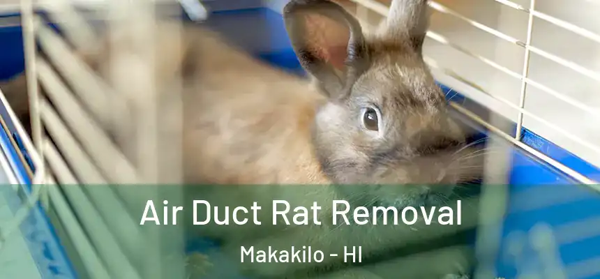  Air Duct Rat Removal Makakilo - HI
