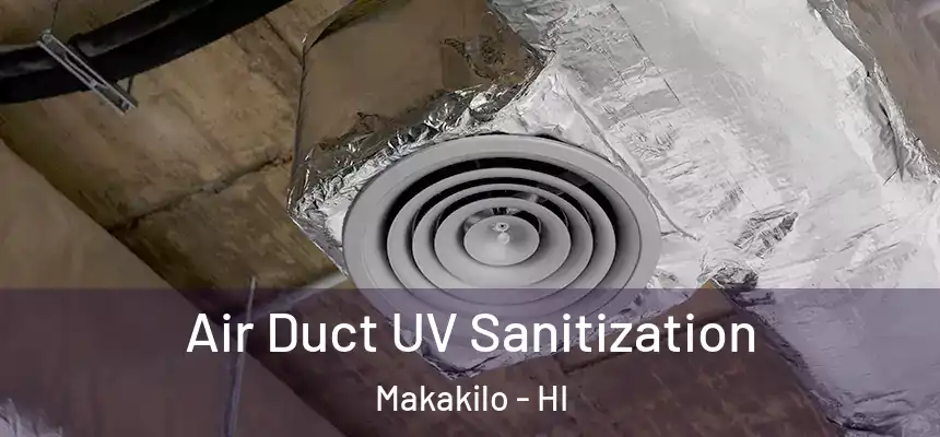  Air Duct UV Sanitization Makakilo - HI