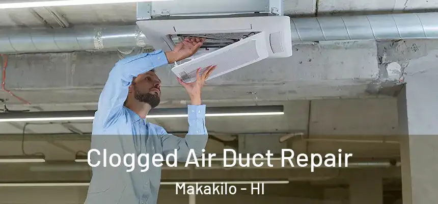  Clogged Air Duct Repair Makakilo - HI