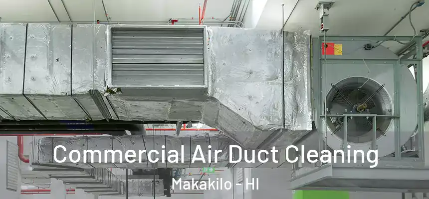  Commercial Air Duct Cleaning Makakilo - HI