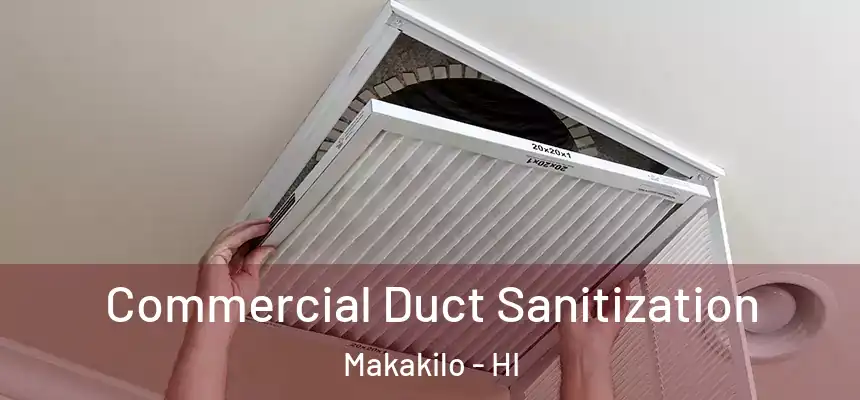  Commercial Duct Sanitization Makakilo - HI