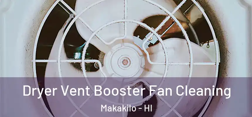  Dryer Vent Booster Fan Cleaning Makakilo - HI