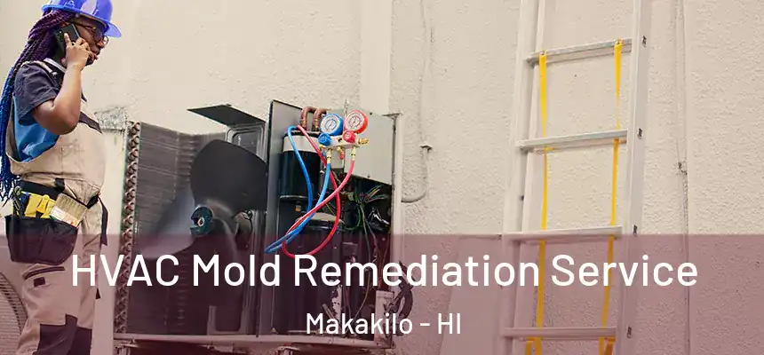  HVAC Mold Remediation Service Makakilo - HI
