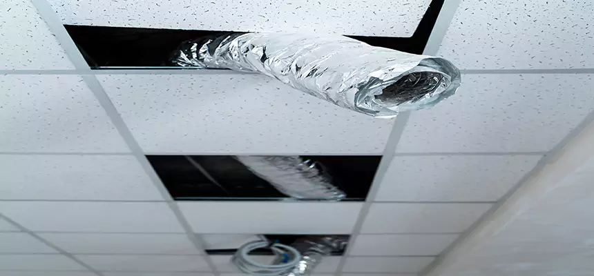 Our Air Duct Pet Hair Removal Services in Makakilo, HI