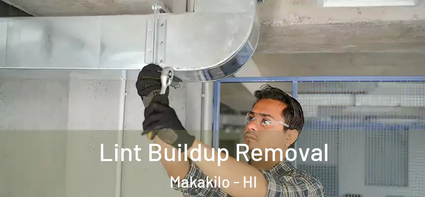  Lint Buildup Removal Makakilo - HI