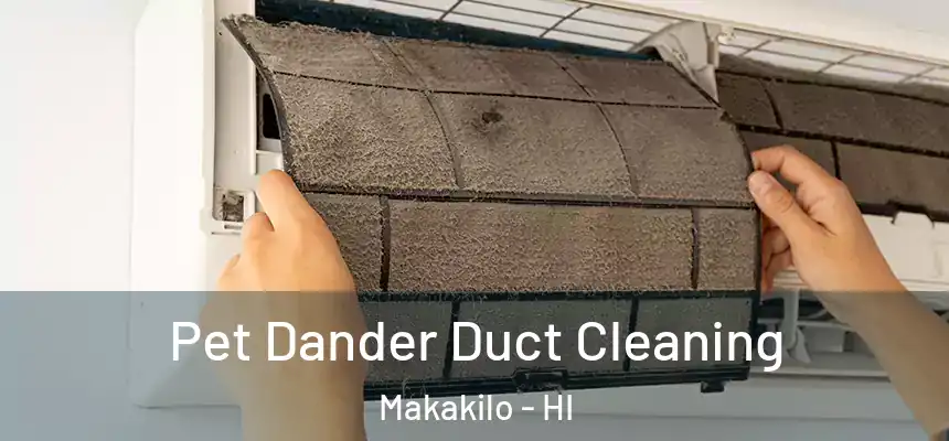  Pet Dander Duct Cleaning Makakilo - HI