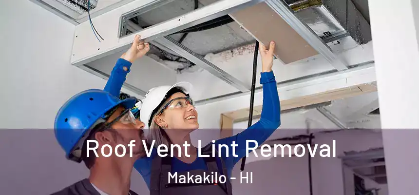  Roof Vent Lint Removal Makakilo - HI