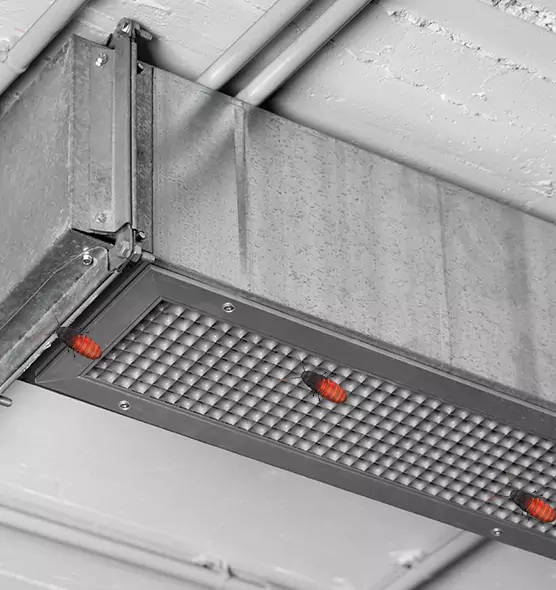 About Air Duct Cockroach Removal in Makakilo, HI