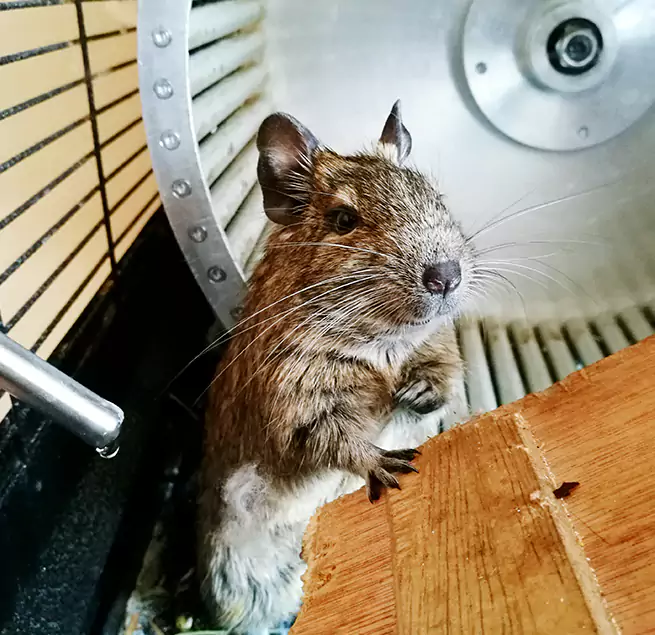 Why Homeowners & Businesses Trust Us Makakilo, HI?