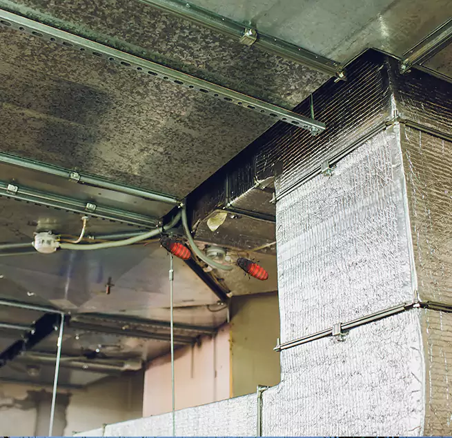 Why Homeowners & Businesses Trust Us Makakilo, HI?