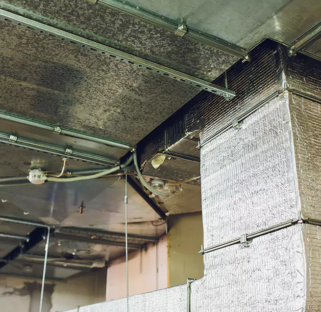 Why Homeowners & Businesses Trust Us in Makakilo, HI?