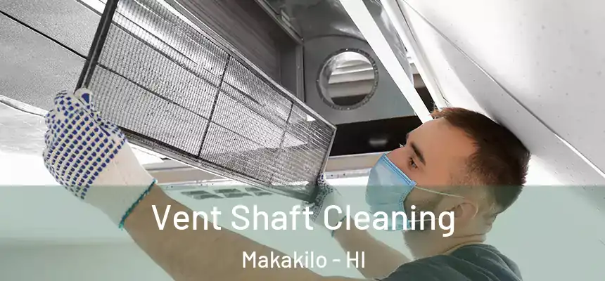  Vent Shaft Cleaning Makakilo - HI